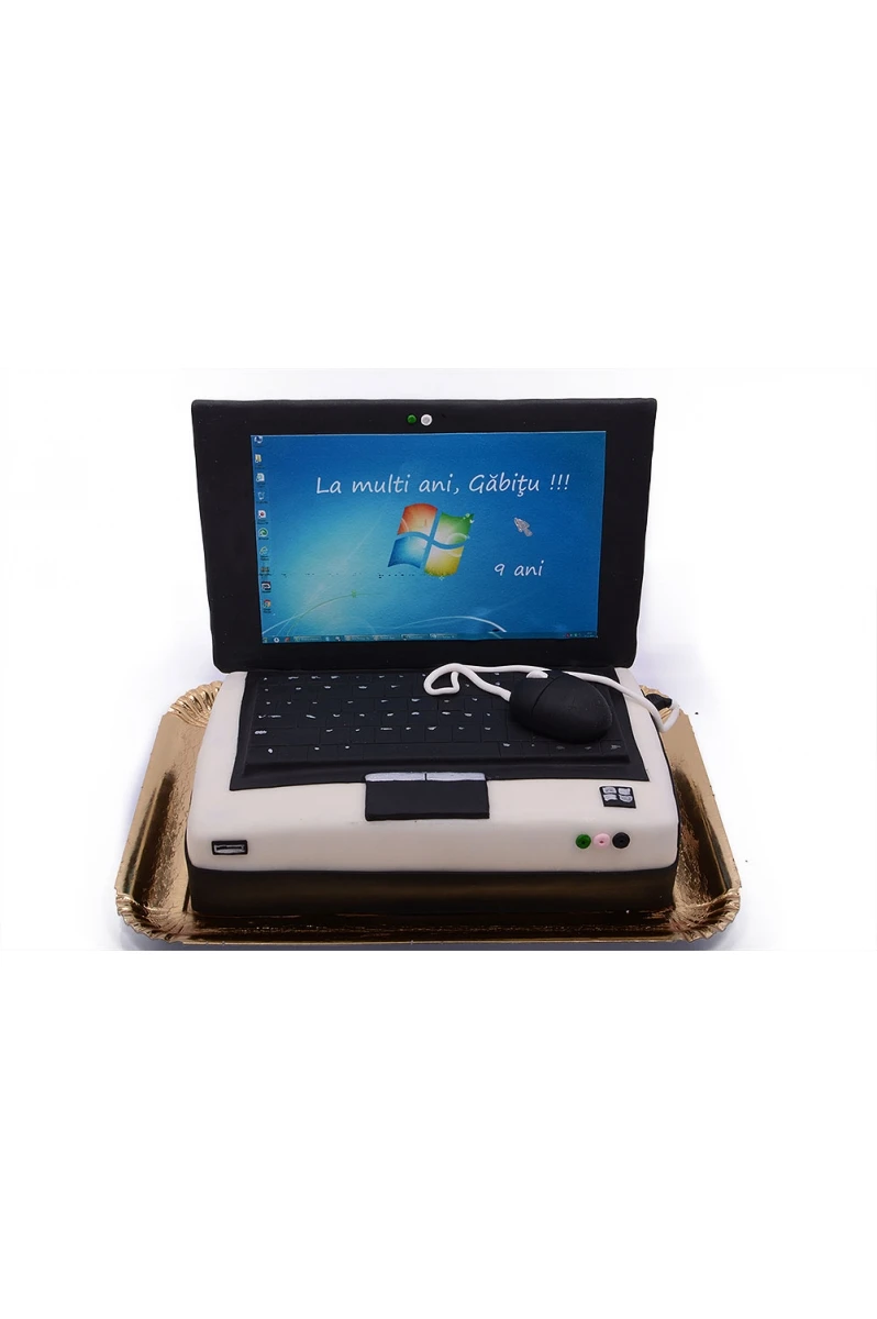 Tort Laptop 3D