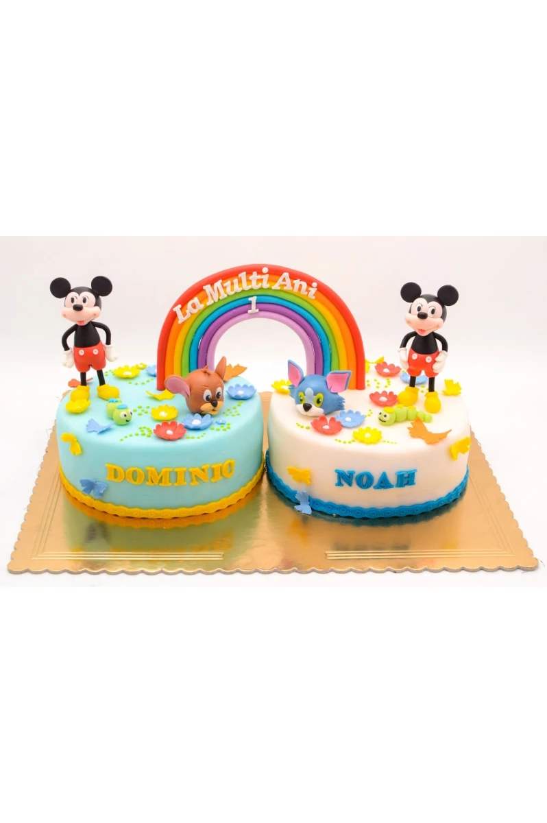 Tort Gemeni pentru Dominic si Noah