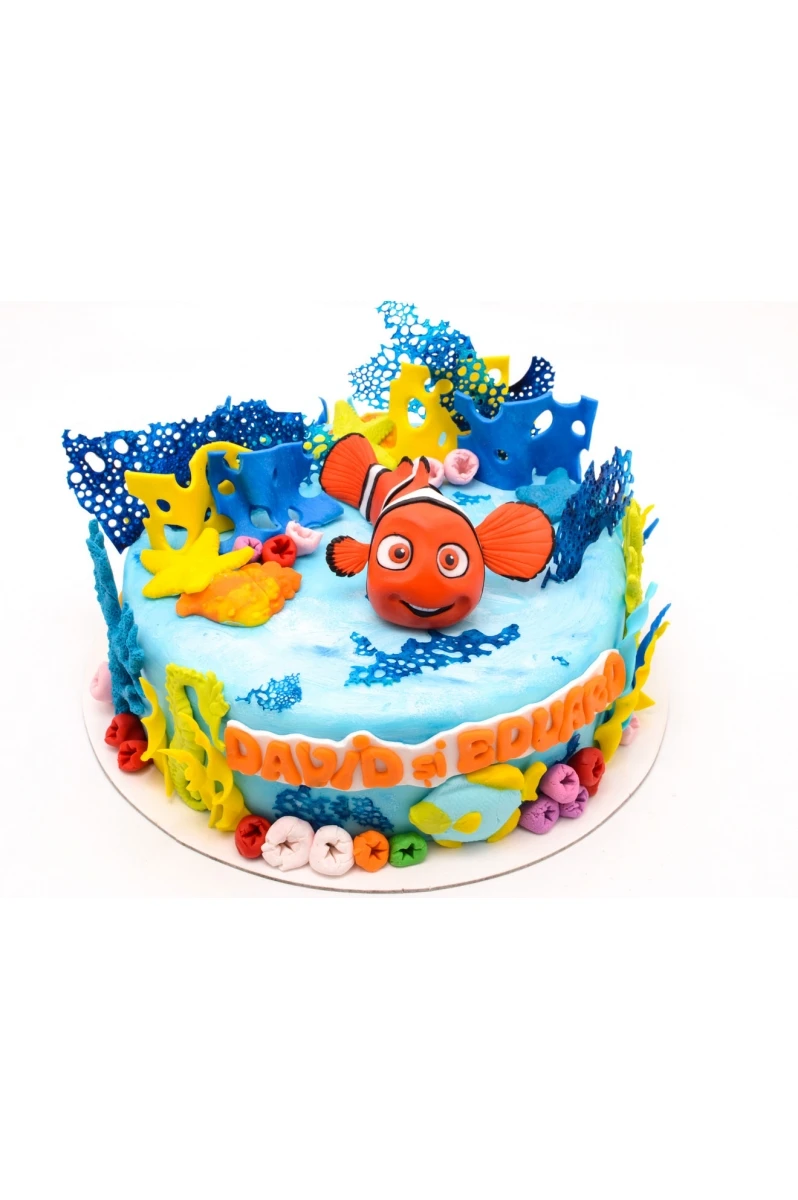 Tort Nemo pentru David si Eduard