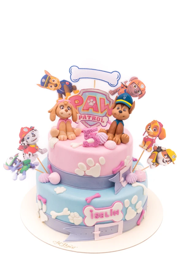 Tort Paw Patrol pentru Iselin